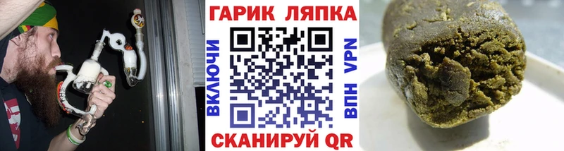 купить наркотики сайты  ссылка на мегу зеркало  Гашиш Изолятор  Алексин 